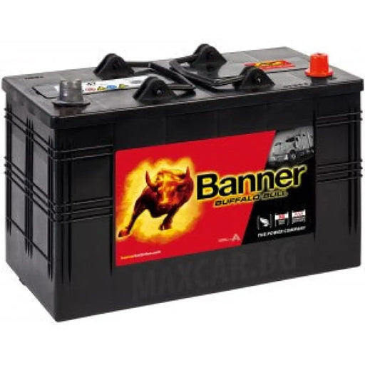 BANNER BUFFALO BULL 110AH 720A R+