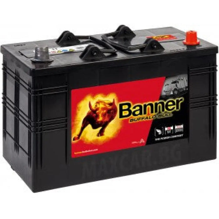 BANNER BUFFALO BULL 110AH 800A COMPACT R+