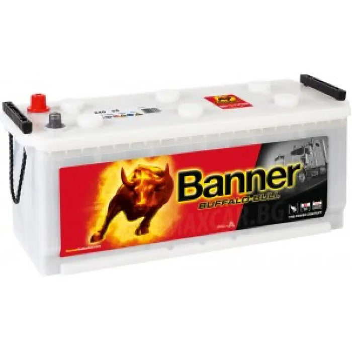 BANNER BUFFALO BULL 120AH 720A