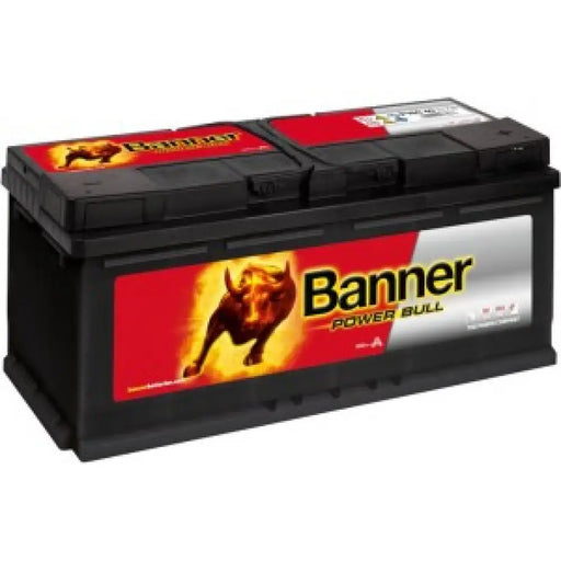 BANNER POWER BULL 110AH 900A R+