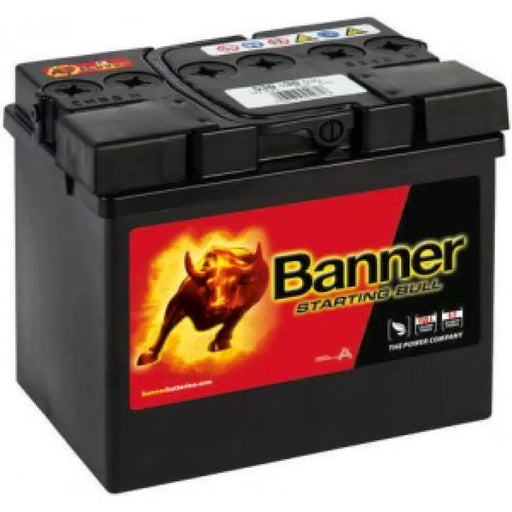 BANNER STARTING BULL 30AH 300A R+