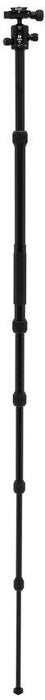 Статив Benro - FTR19AB0GBLK + Head, 36-150 cm, черен