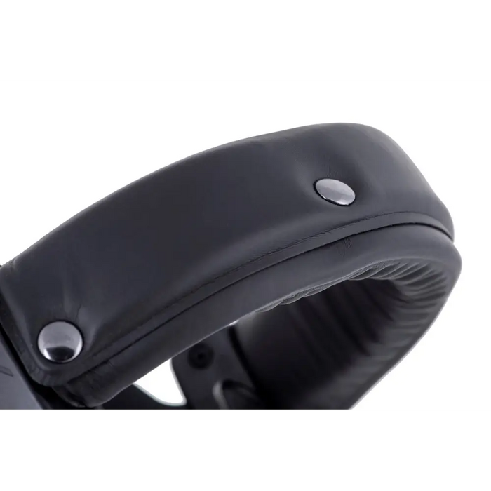 Beyerdynamic DT 770 PRO 250 OHM Black Limited Edition