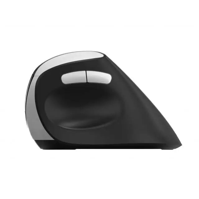 Безжична ергономична мишка RAPOO EV250 2.4Ghz 1600dpi Черен