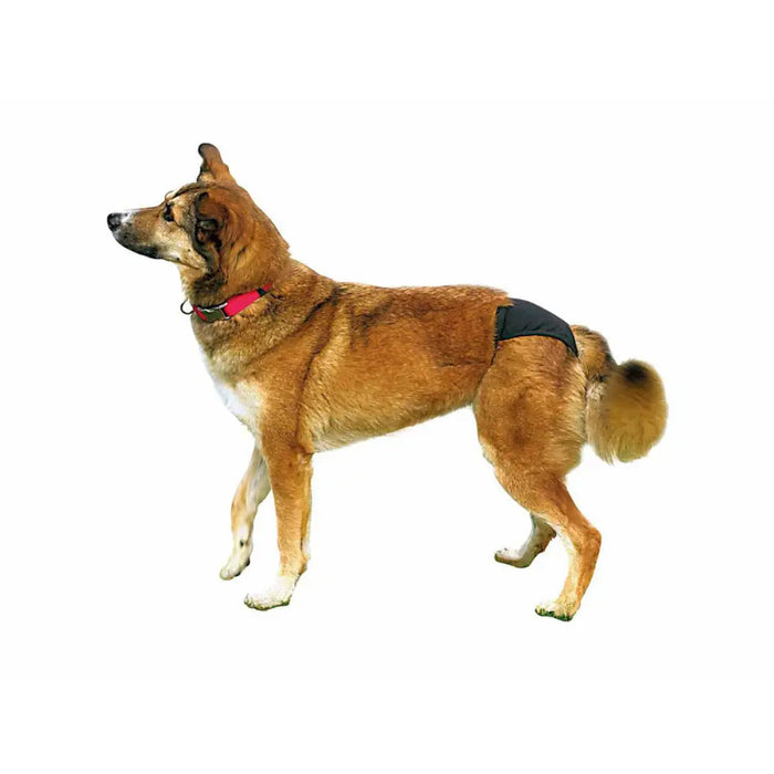 Бикини Trixie 23495 Памук XL