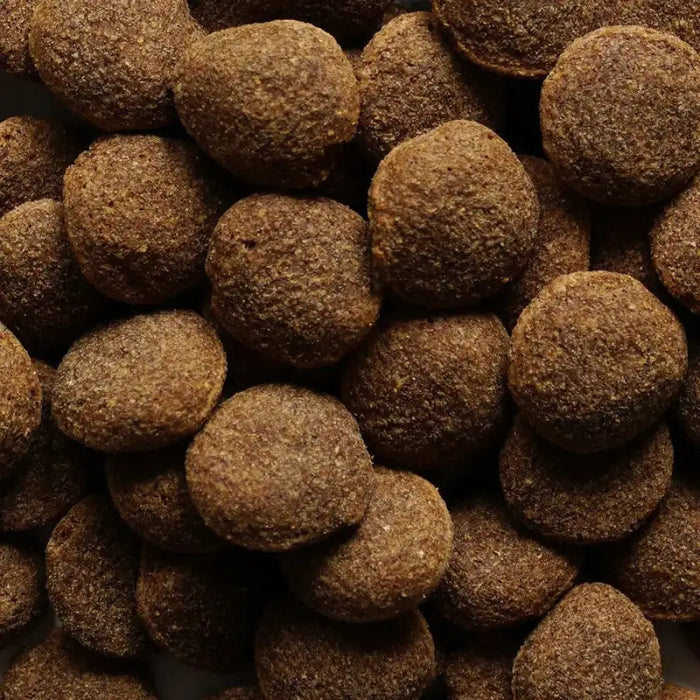 BIOFEED Nasz Pies medium & large Beef - суха храна