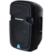 Blaupunkt Profesjonalny аудио система PA10 1-way