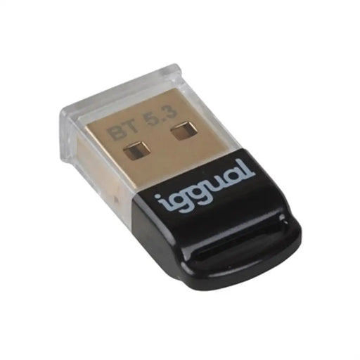 Блутут адаптер iggual IGG319383