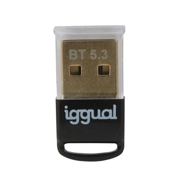 Блутут адаптер iggual IGG319383