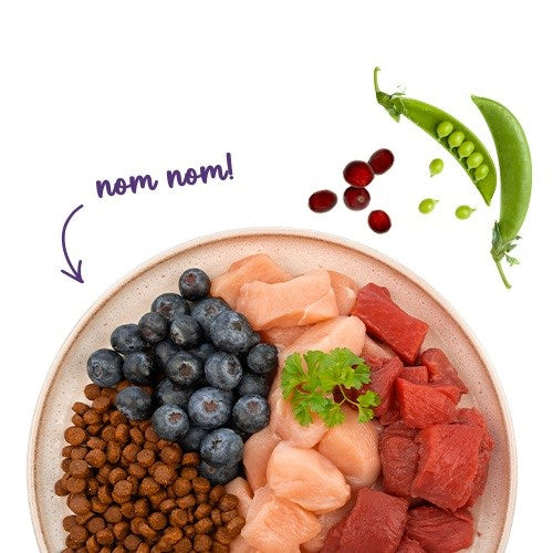 BOSCH Sanabelle Adult Ostrich & Blueberries - суха храна за котки - 2 кг