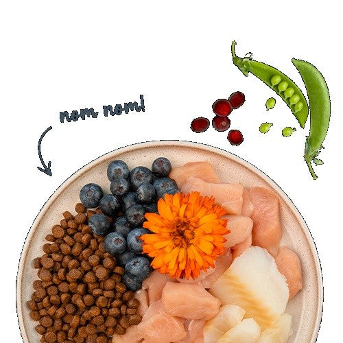 BOSCH Sanabelle Adult Trout & Blueberries - суха храна за котки - 2 кг