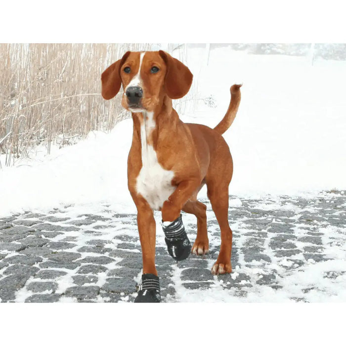 Ботуши Trixie 19463 Черен M