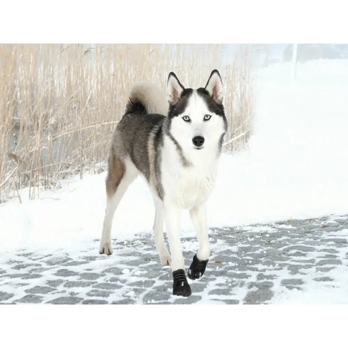 Ботуши Trixie 19465 Черен L