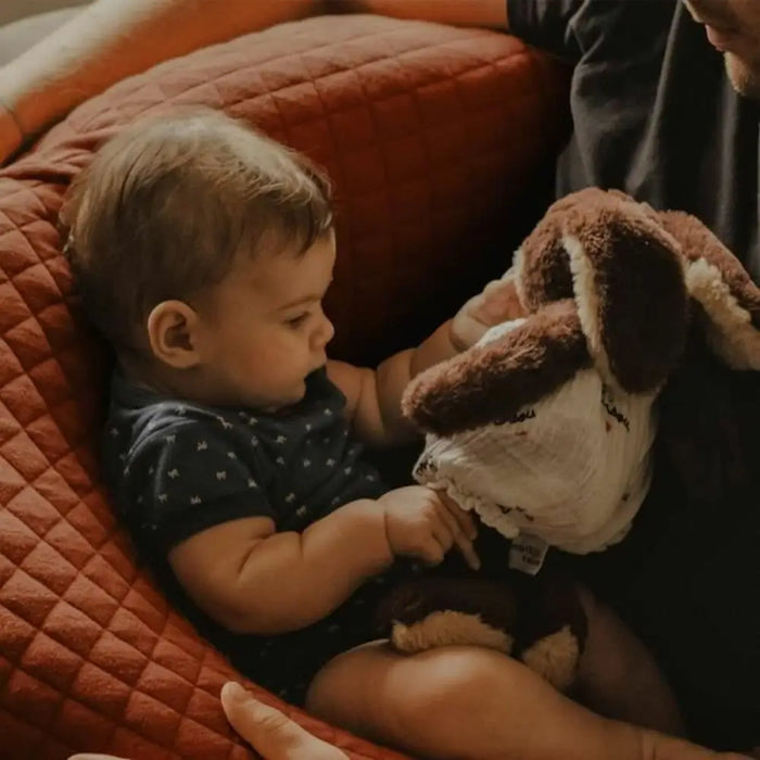 Breastfeeding Cushion Béaba теракота