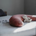 Breastfeeding Cushion Béaba теракота