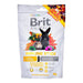 BRIT Animals Имунен стик за гризачи - 80 г лакомство