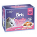 BRIT Premium Family Plate Fillets in Jelly Mix of Flavors