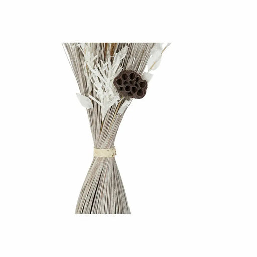 Букет DKD Home Decor Lilled Кокосови влакна (2 pcs) (40 x