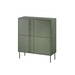 Cama 4D скрин TRESSE 100x40x110 зелен мат