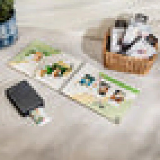 CANON SELPHY QX20 GY