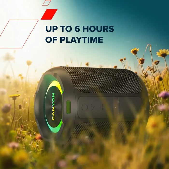 Bluetooth колонка Canyon CNE-CBTSP11