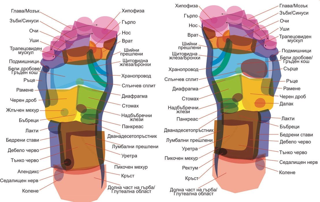 Степенка за рефлексотерапия Casada - ReflexDisc, сива