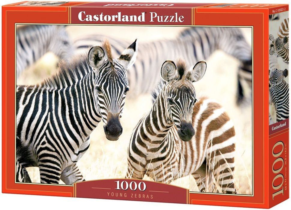 Пъзел Castorland от 1000 части - Млади зебри