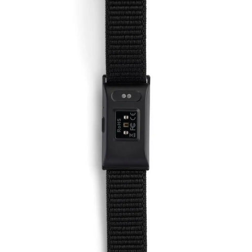 CD-R Nilox NXSWONAIRBK