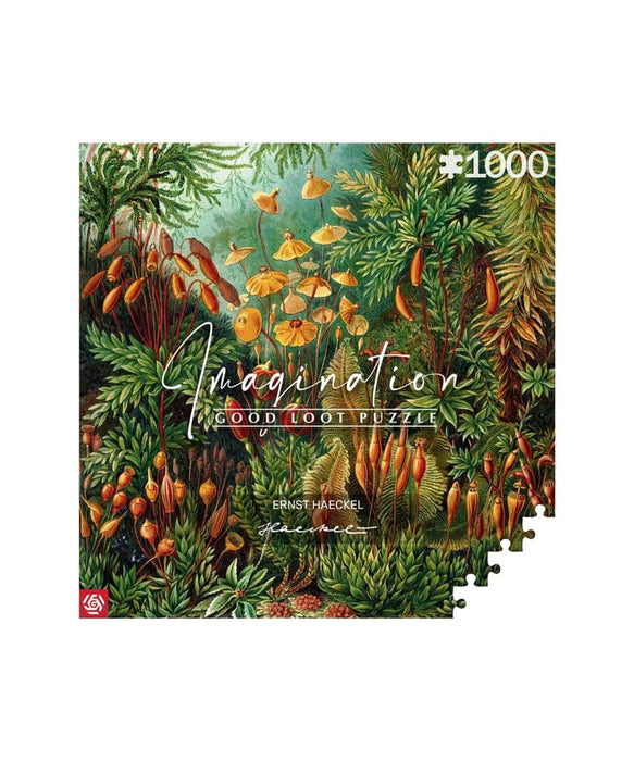 Пъзел за въображение: Ernst Haeckel Muscinae 1000 елемента