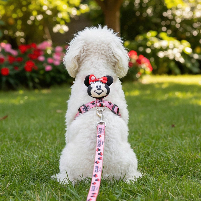 Нагръдник за кучета Cerda Disney: Mickey Mouse - Minnie Mouse, размер S/M