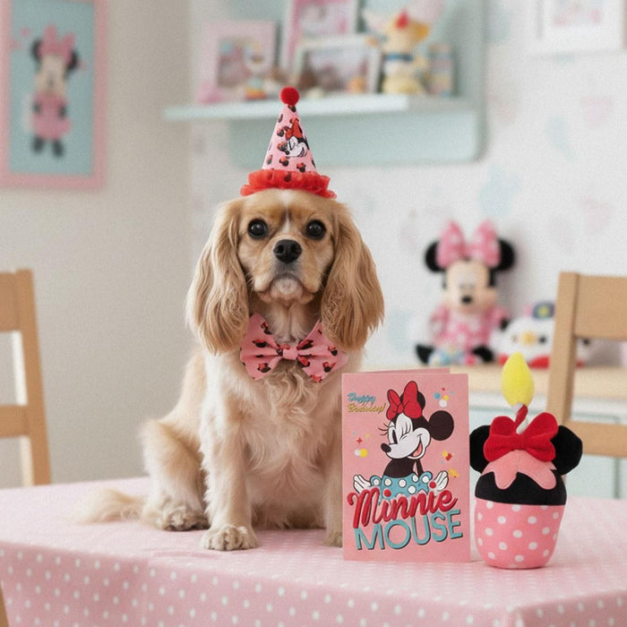 Комплект за домашен любимец Cerda Disney: Mickey Mouse - Birthday Minnie Mouse
