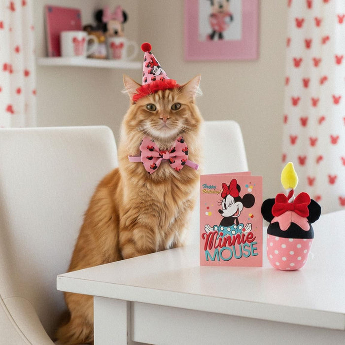 Комплект за домашен любимец Cerda Disney: Mickey Mouse - Birthday Minnie Mouse