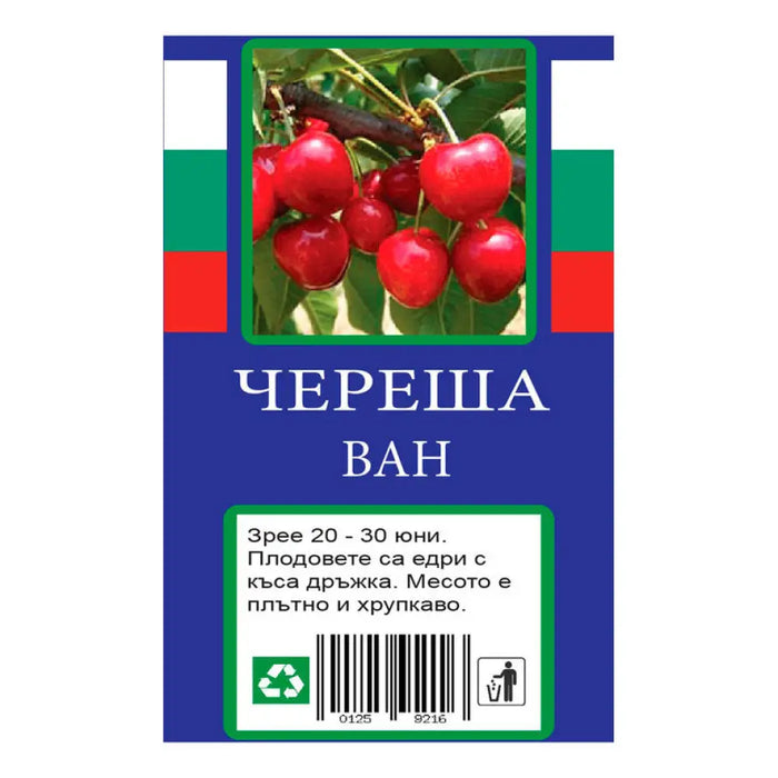 ЧЕРЕША С ПАКЕТИРАН КОРЕН