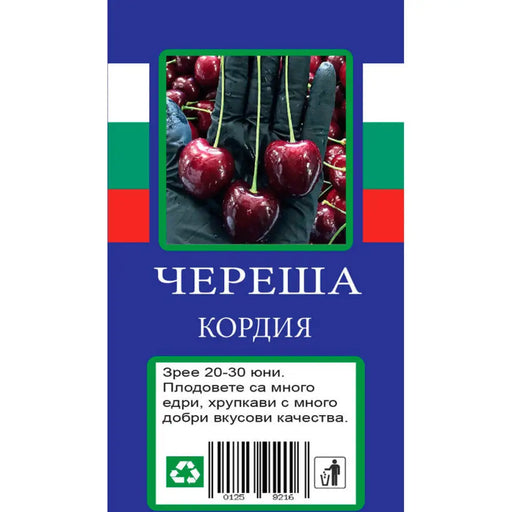 ЧЕРЕША С ПАКЕТИРАН КОРЕН