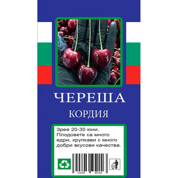 ЧЕРЕША С ПАКЕТИРАН КОРЕН