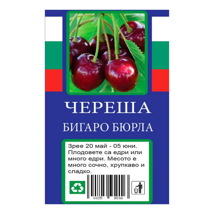 ЧЕРЕША С ПАКЕТИРАН КОРЕН
