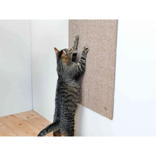 Чесало за Нокти за Котки XXL Trixie Кафяв