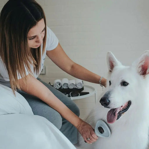 Четка за разчепкване Hunter Самопочистване