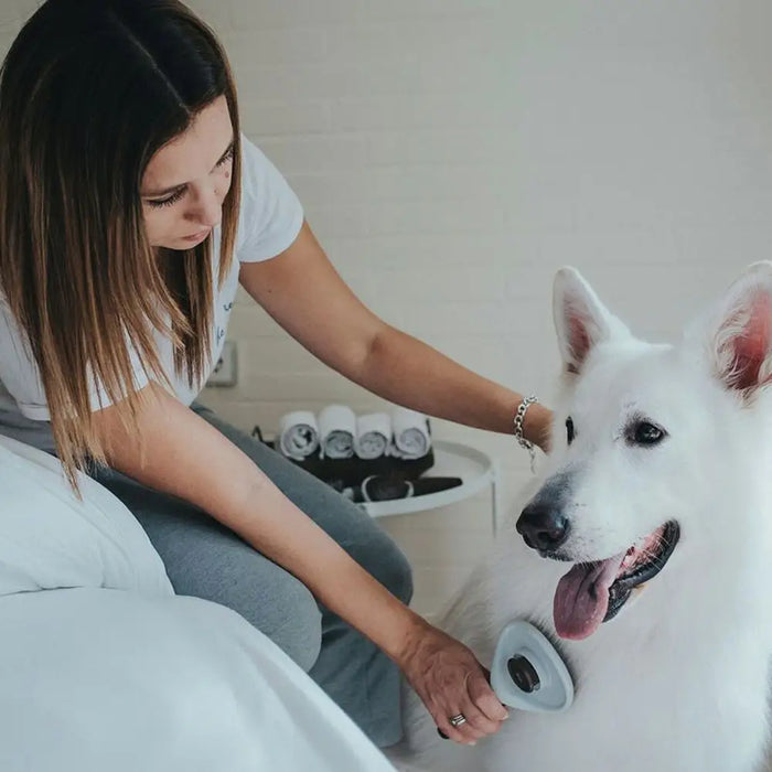 Четка за разчепкване Hunter Самопочистване