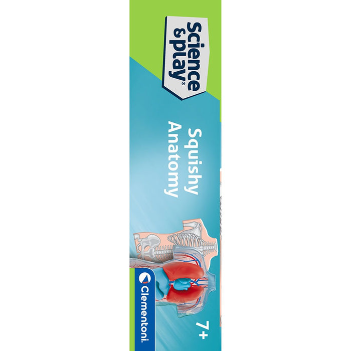 CLEMENTONI SCIENCE PLAY LAB Squishy Анатомия