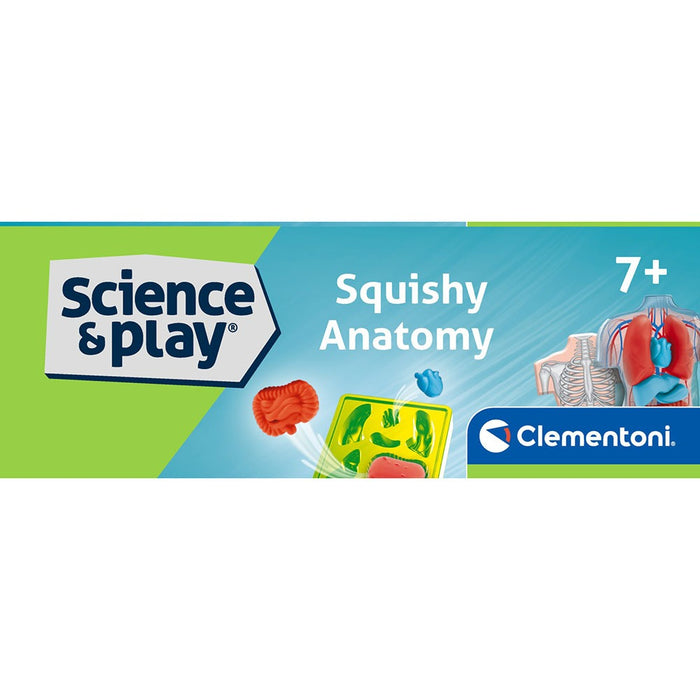 CLEMENTONI SCIENCE PLAY LAB Squishy Анатомия