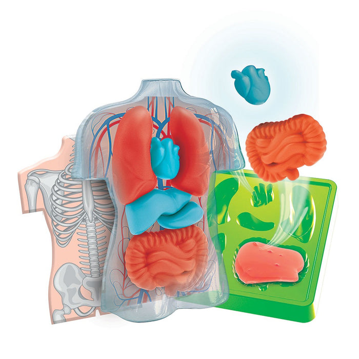 CLEMENTONI SCIENCE PLAY LAB Squishy Анатомия