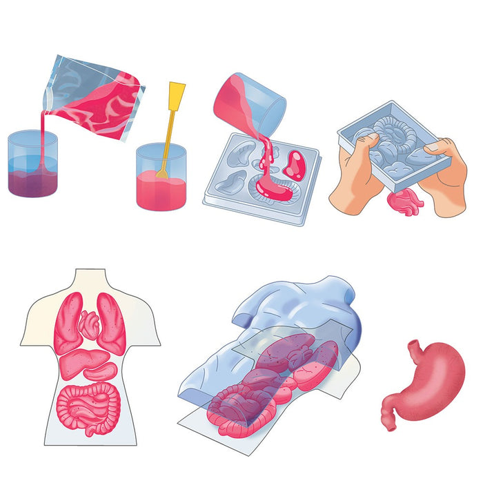 CLEMENTONI SCIENCE PLAY LAB Squishy Анатомия