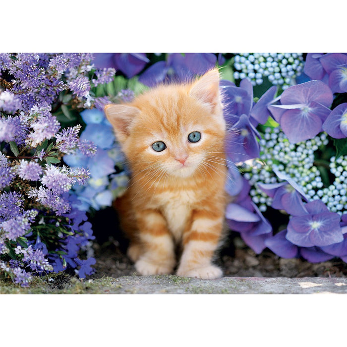 CLEMENTONI 500ч. Пъзел Коте