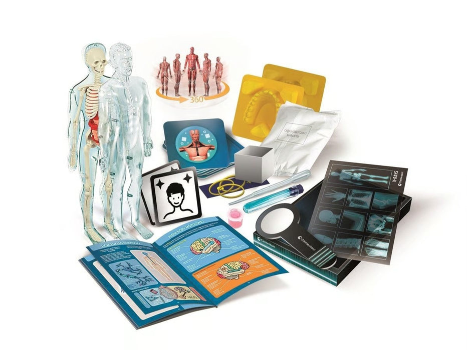 Комплект Clementoni – Super Anatomy