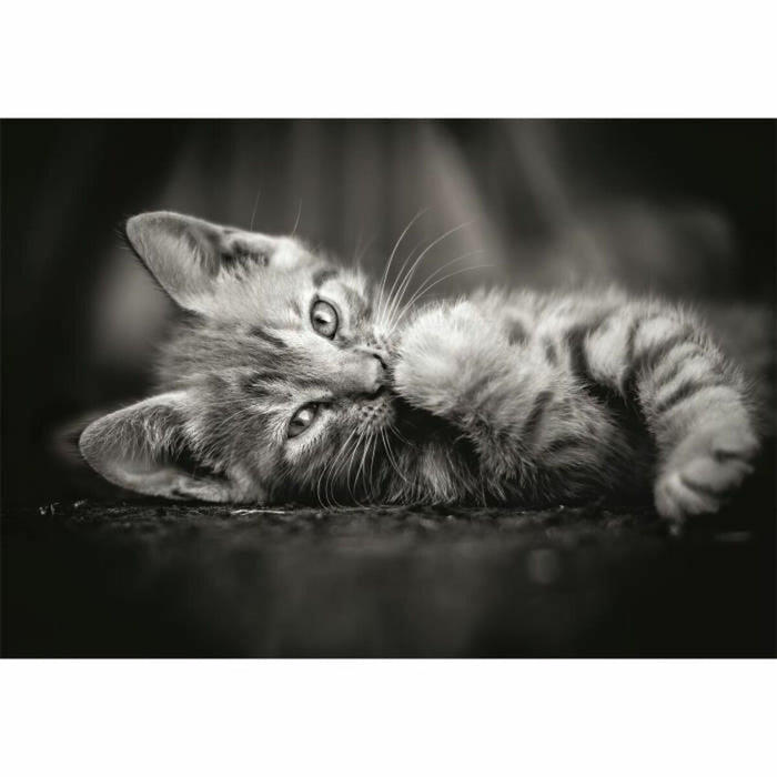 Пъзел Clementoni Kitty 1000 Части