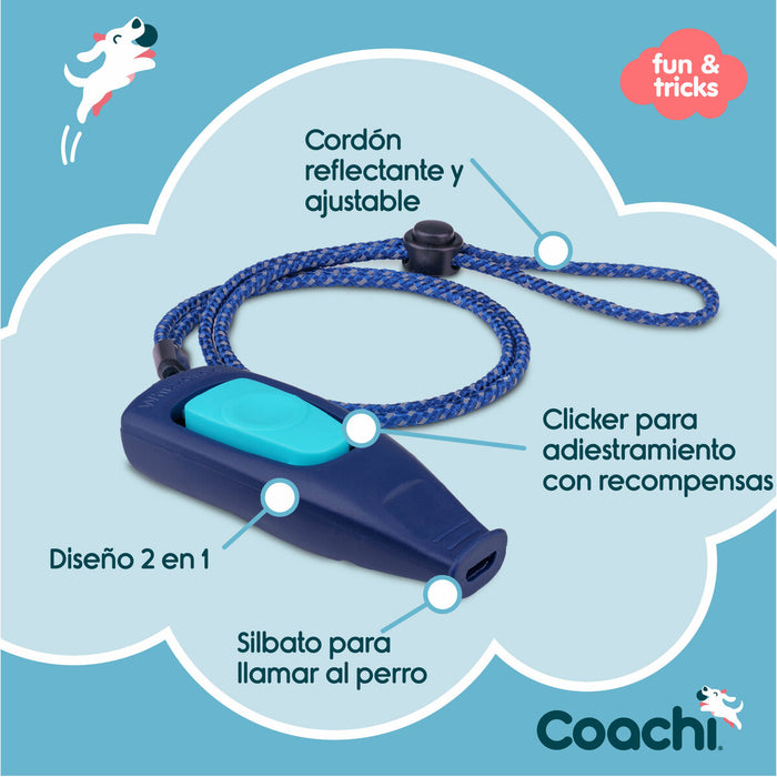 Свирка Coachi