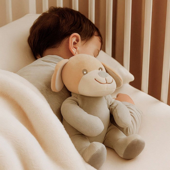 Плюш Colorbaby полиестер 20 x 25 x 20 cm (6 броя)