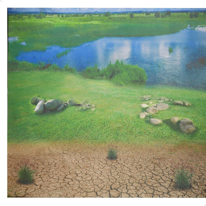 Комплект Диви Животни Colorbaby Пластмаса 13 x 12 x 5 cm (4 броя)