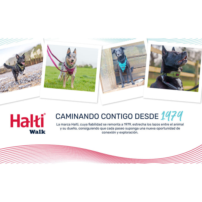 Кучешки Нашийник Company of Animals Сив